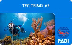 PADI Tec Trimix 65 Diver (Bali)