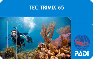 PADI Tec Trimix 65 Diver (Bali)
