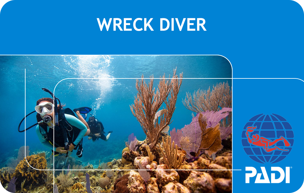 PADI Wreck Diver (Bali)