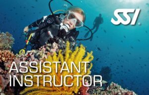 SSI Assistant Instructor (Bali) Course