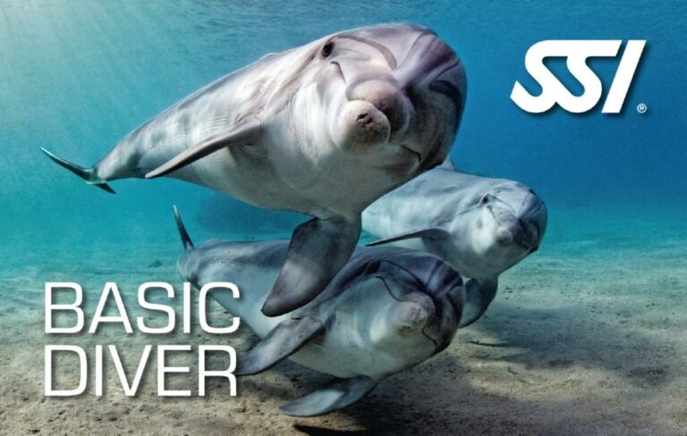 SSI Basic Diver (Bali) Course