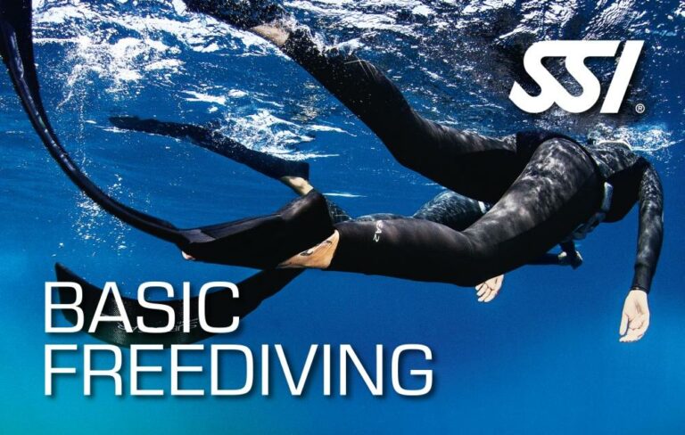 SSI Basic Freediving (Bali) Course