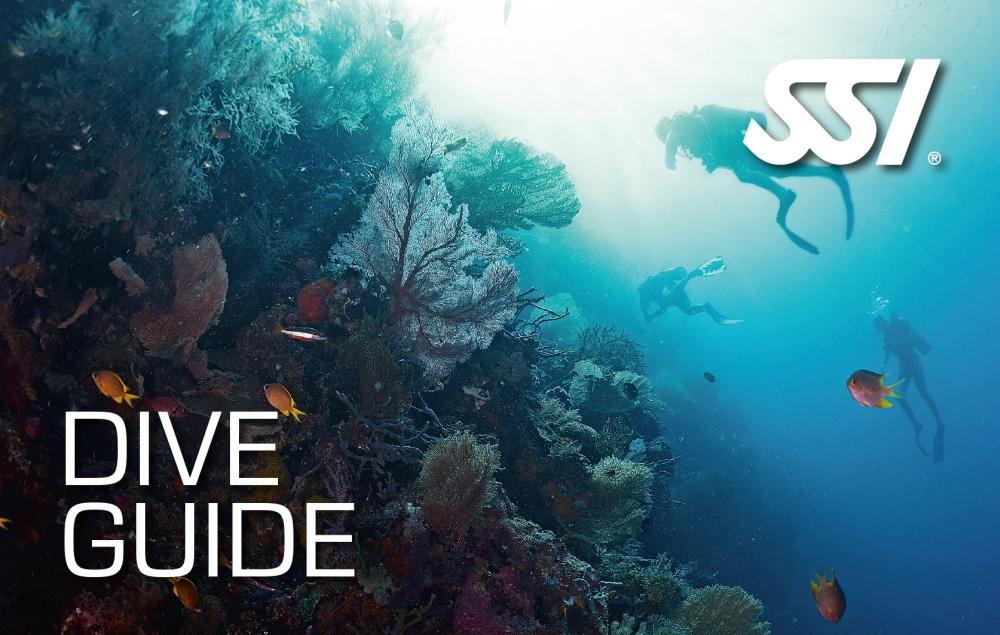 SSI Dive Guide (Bali) Course