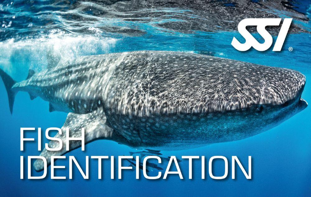 SSI Fish Identification (Bali) Course