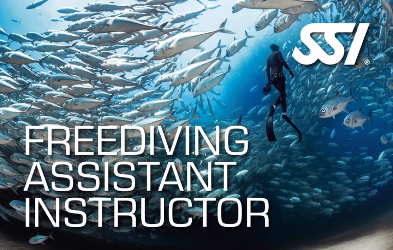 SSI Freediving Assistant Instructor (Bali) Course