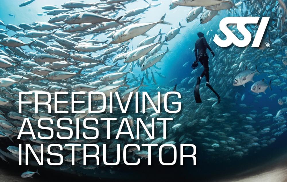 SSI Freediving Assistant Instructor (Bali) Course