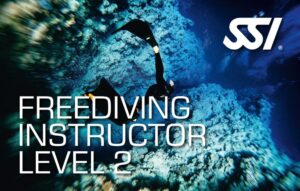 SSI Freediving Instructor Level II (Bali) Course