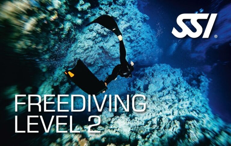 SSI Freediving Level II (Bali) Course