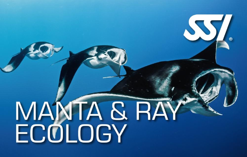 SSI Manta And Ray Ecology (Bali) Course