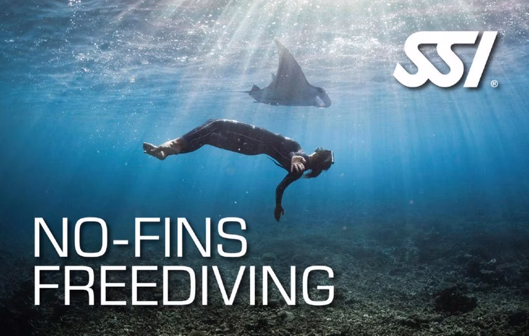 SSI No-Fins Freediving (Bali) Course