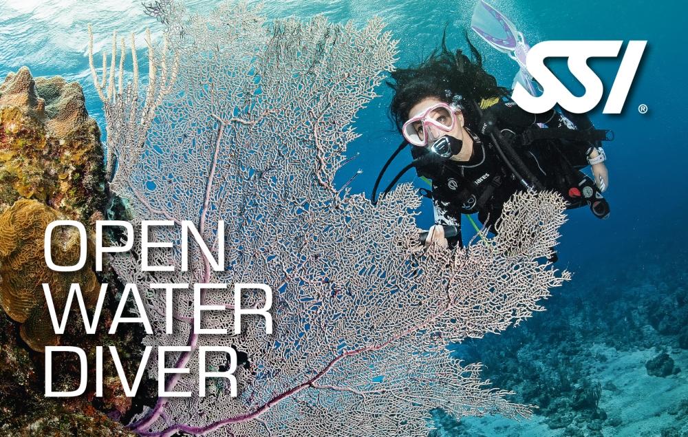 SSI Open Water Diver Course (Bali)