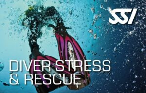 SSI Rescue Diver (Bali)
