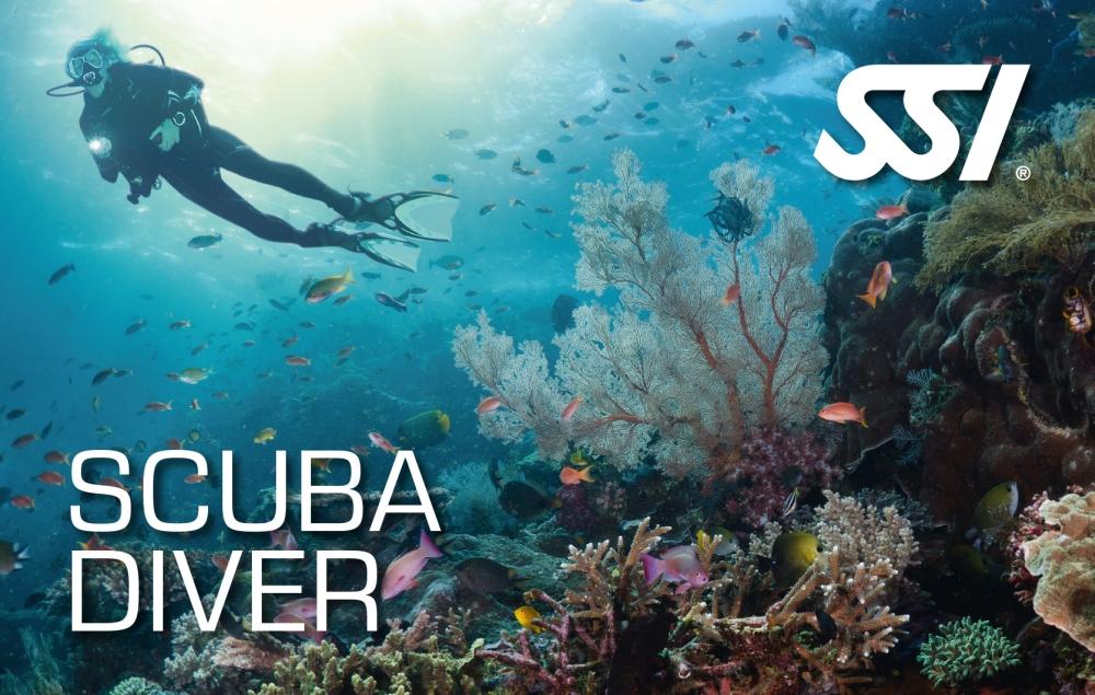 SSI Scuba Diver (Bali) Course