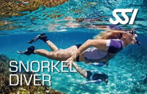 SSI Snorkel Diver (Bali) Course
