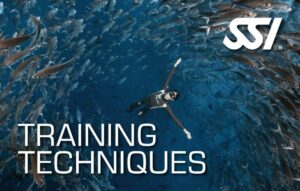 SSI Training Techniques (Bali) Course