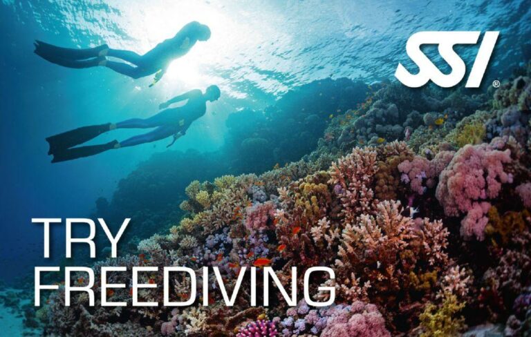 SSI Try Freediving (Bali) Course