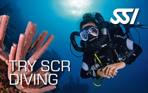 SSI Try SCR (HORIZON) (Bali) Course