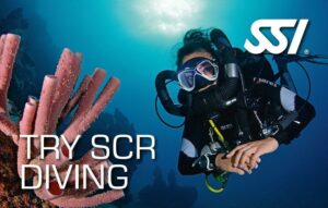 SSI Try SCR (HORIZON) (Bali) Course