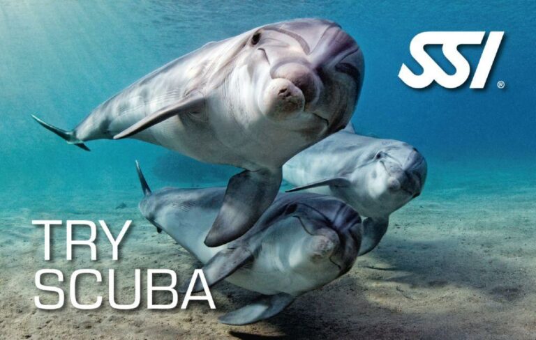 SSI Try Scuba (Bali) Course