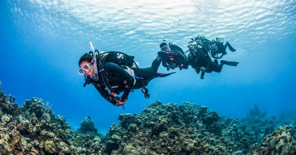 PADI Beginner Diving Courses in Bali