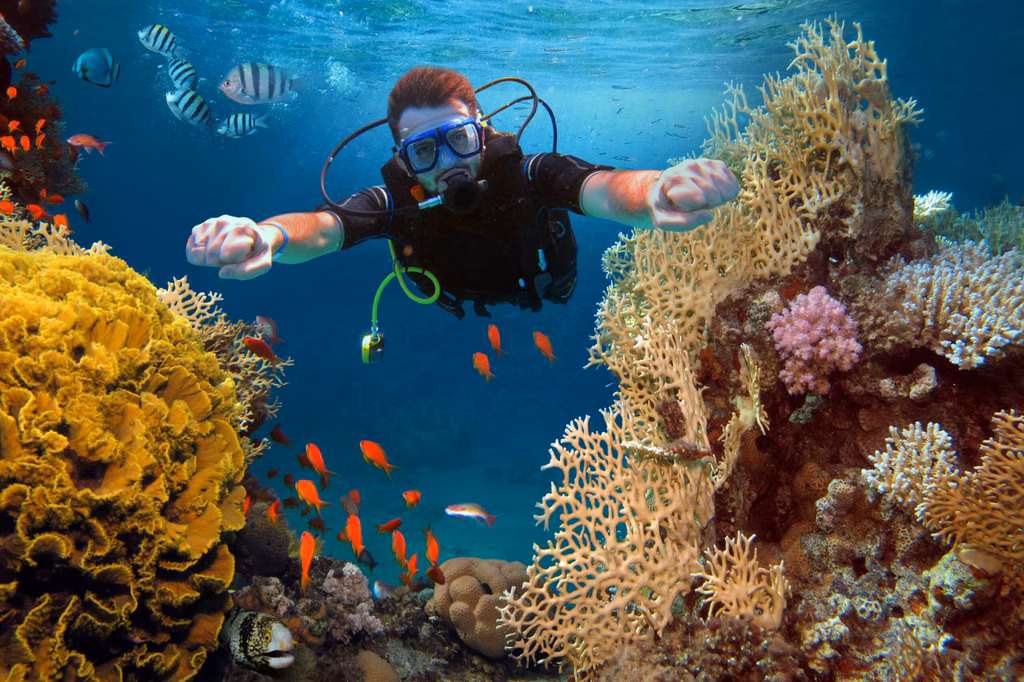 Diving Course Open Water Component