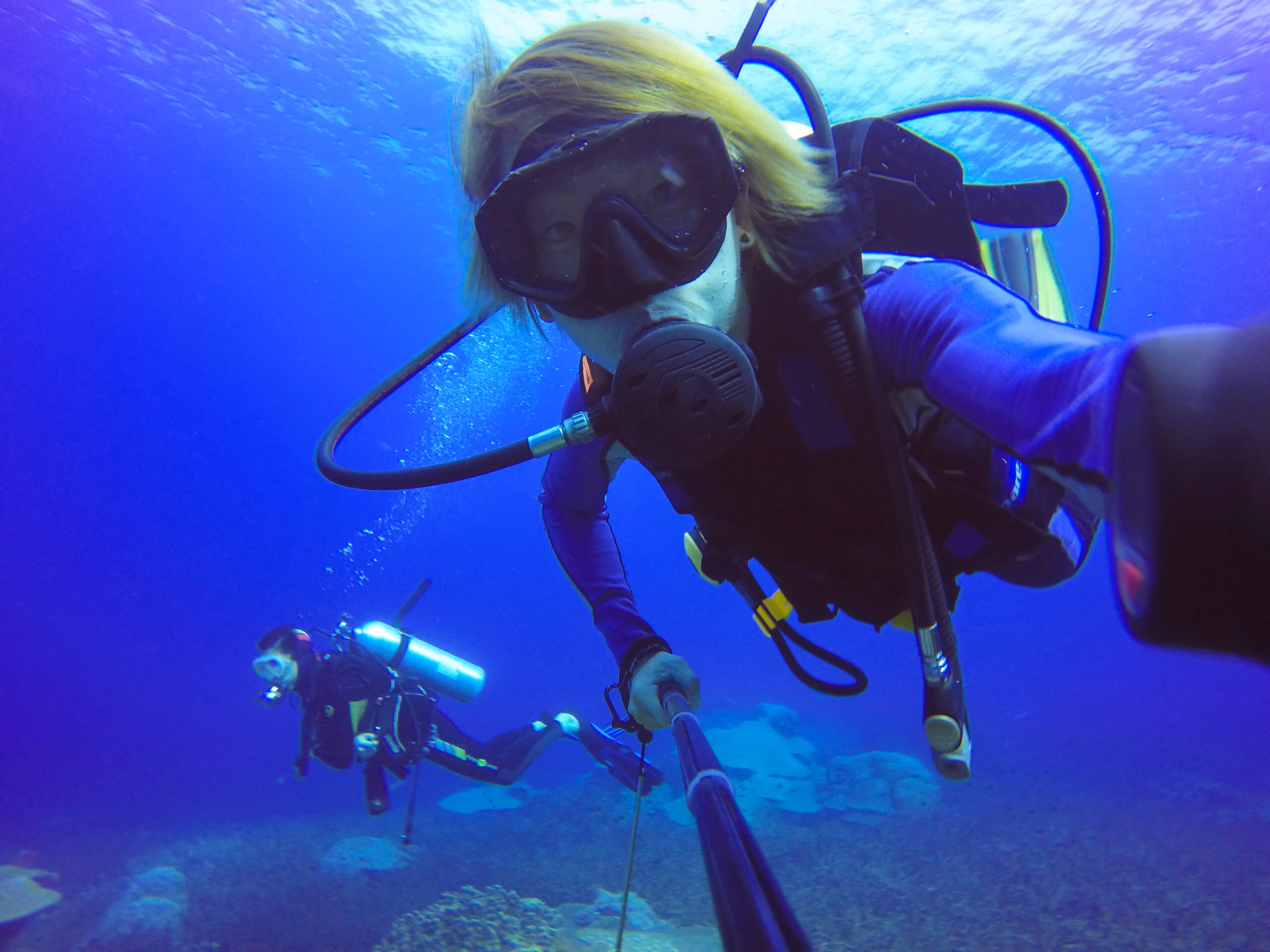Bali Diving Internship Zero to Hero