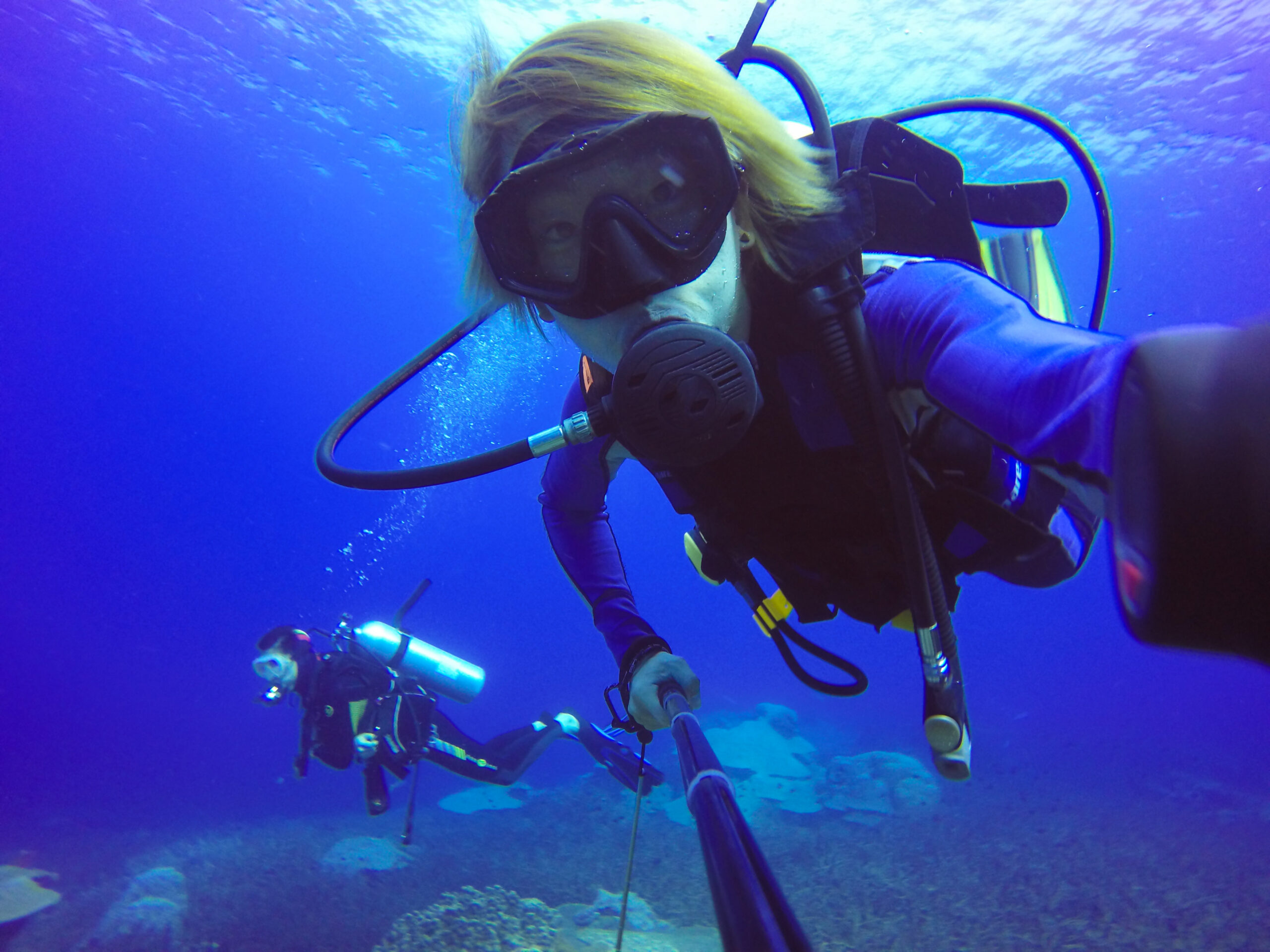 Bali Diving Internship Zero to Hero