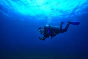 Understanding Bali’s Diving Seasons