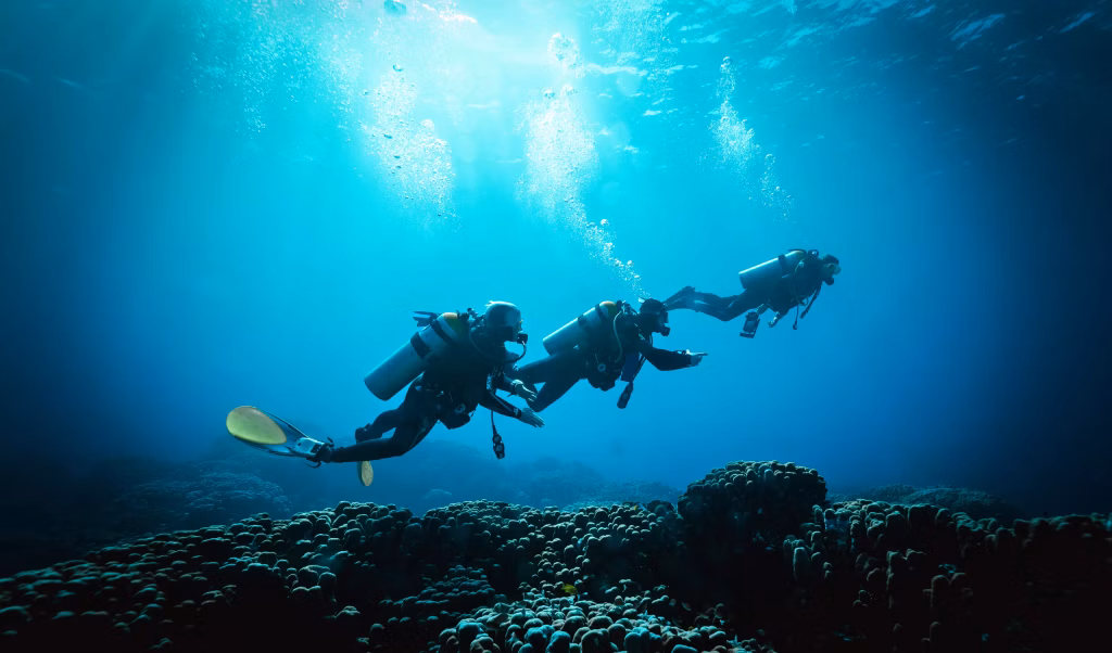Dive into Adventure: Embrace the Ocean with Bali Diving Courses and Certifications