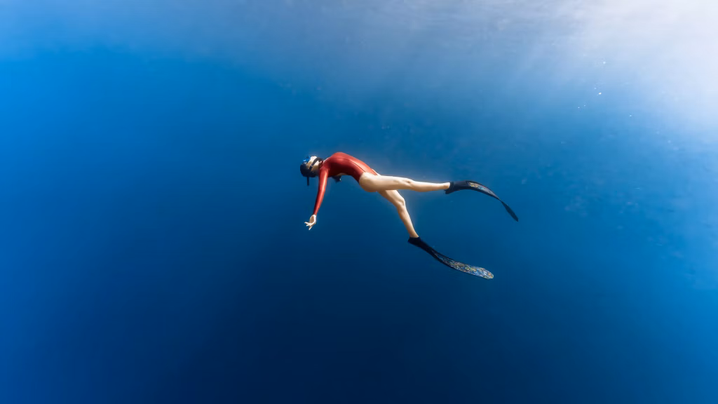 Freediving courses