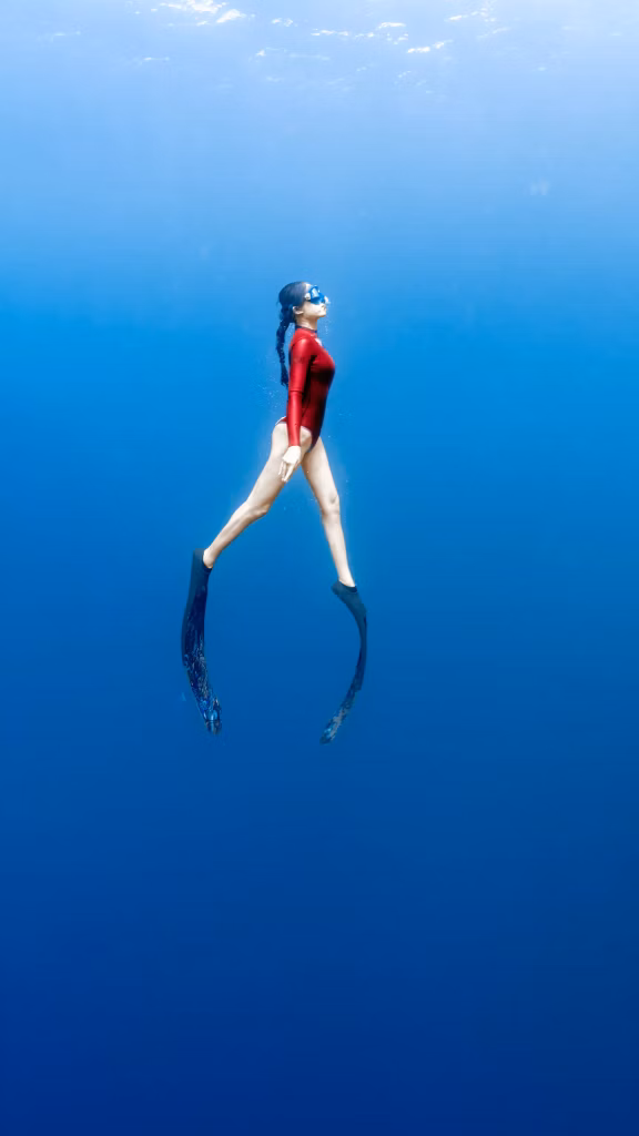 Freediving courses