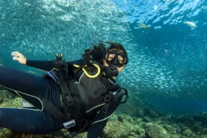 Scuba Diving, Diving, Diving in Bali, Marine Life, Dive Sites