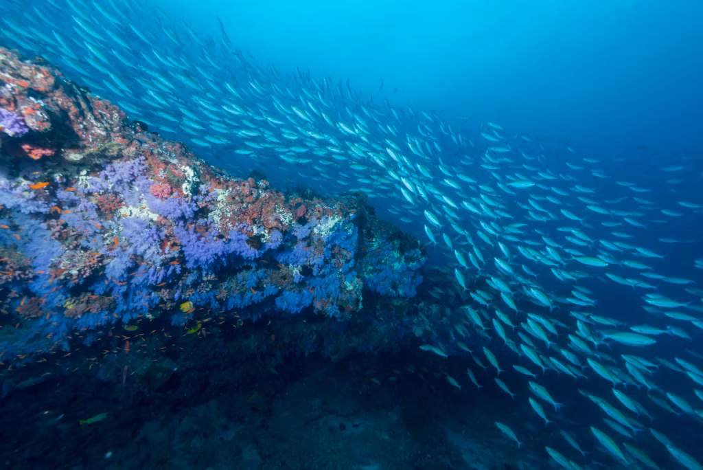 Diving, Diving in Bali, Bali Diving