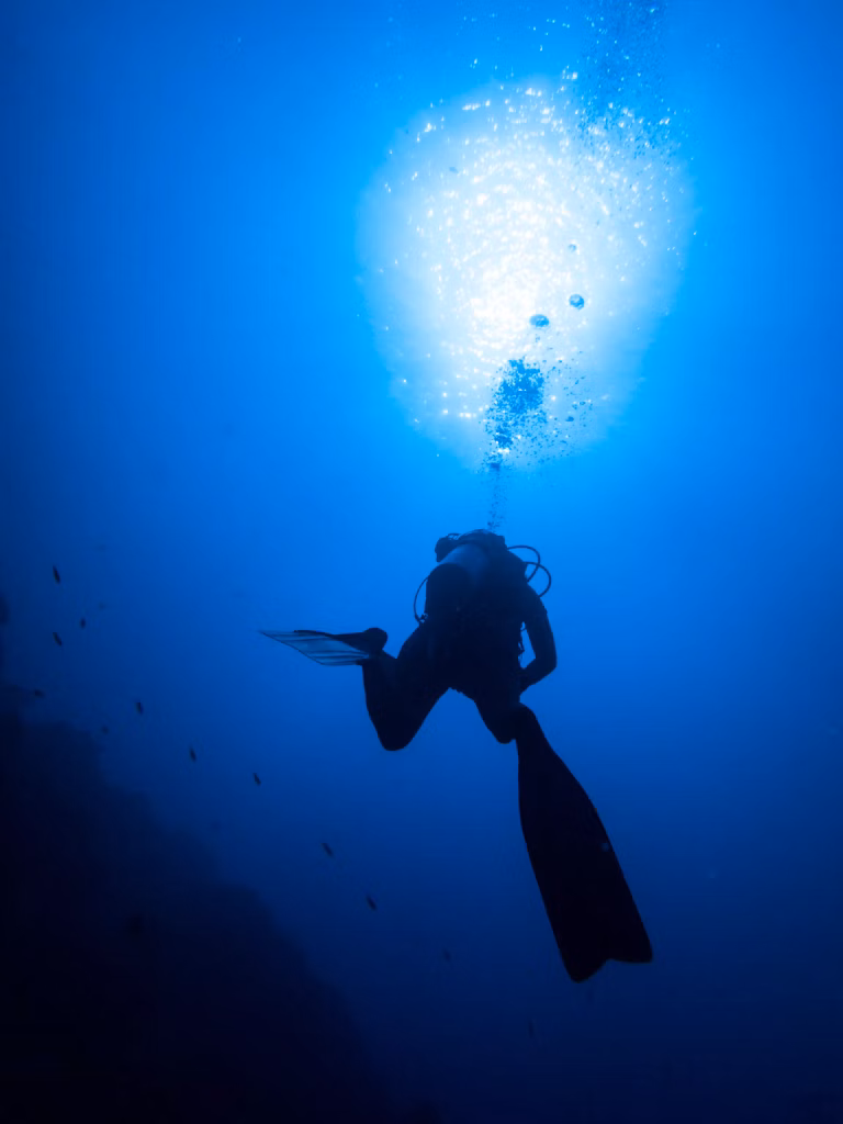 Underwater, Scuba Diving, Diving, Diving in Bali, Bali Diving