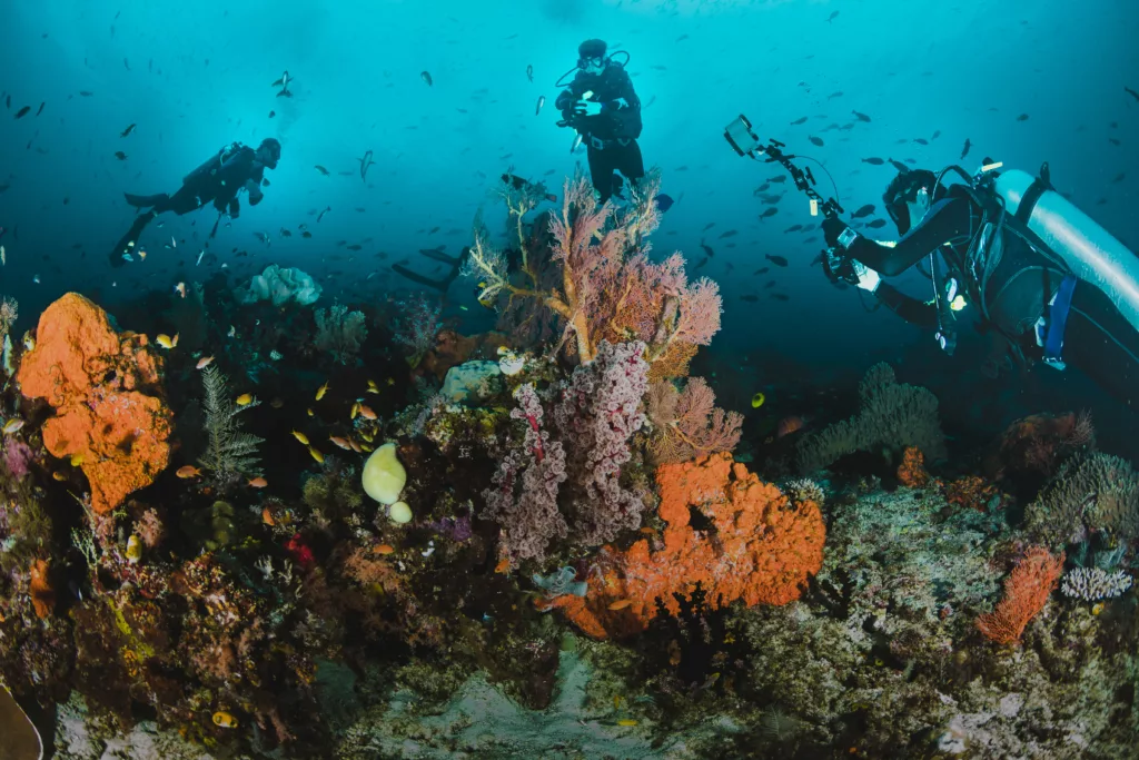 Scuba Diving, Diving, Diving in Bali, Marine Life, Dive Sites