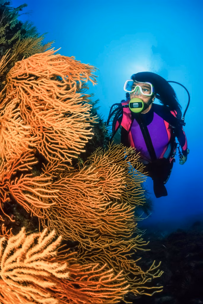 Scuba Diving, Diving, Diving in Bali, Marine Life, Dive Sites, Bali Diving