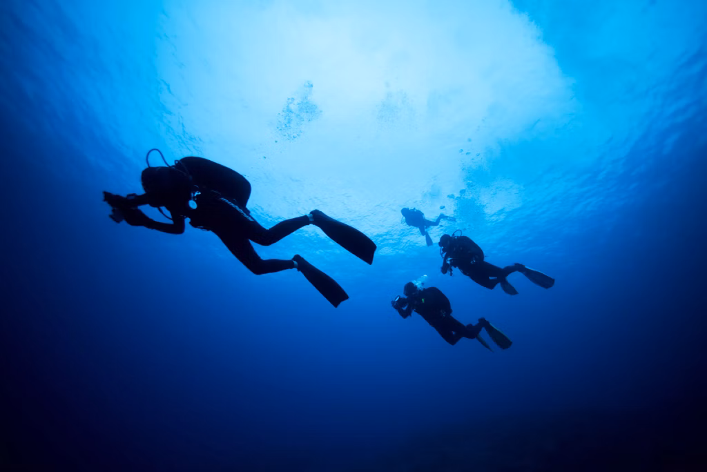 Diving, Scuba Diving, Diving in Bali