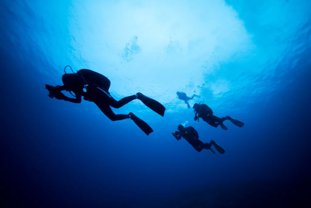 Diving, Scuba Diving, Diving in Bali