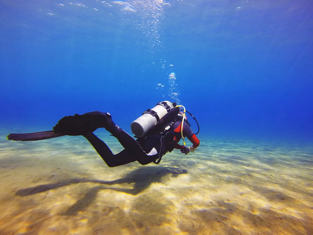 Scuba Diving, Diving, Diving in Bali, Marine Life, Dives