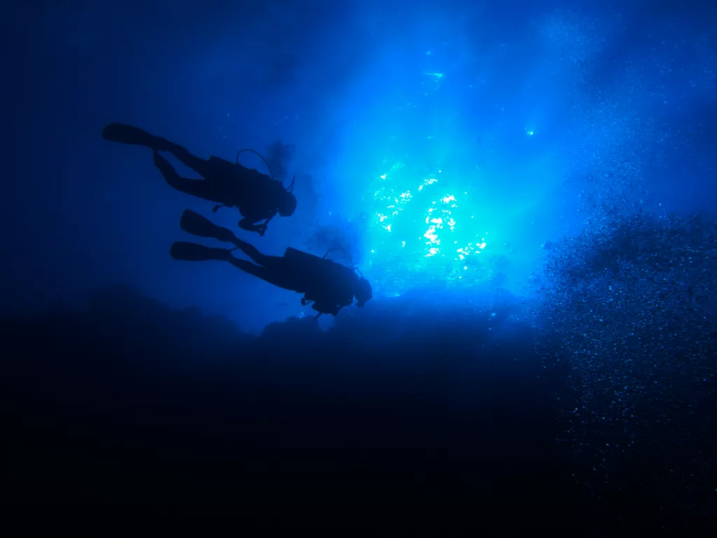 Night Dive, Diving, Scuba Diving, Diving in Bali