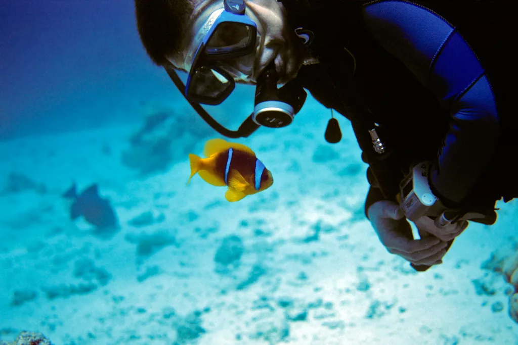 Scuba Diving, Diving, Diving in Bali, Marine Life, Dives