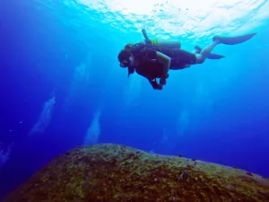 Scuba Diving, Diving, Diving Courses, Diving in Bali, Bali Diving