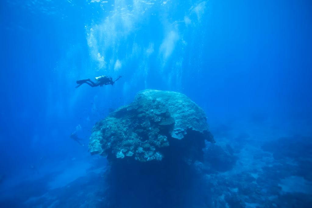 Scuba Diving, Diving, Diving in Bali, Bali Diving