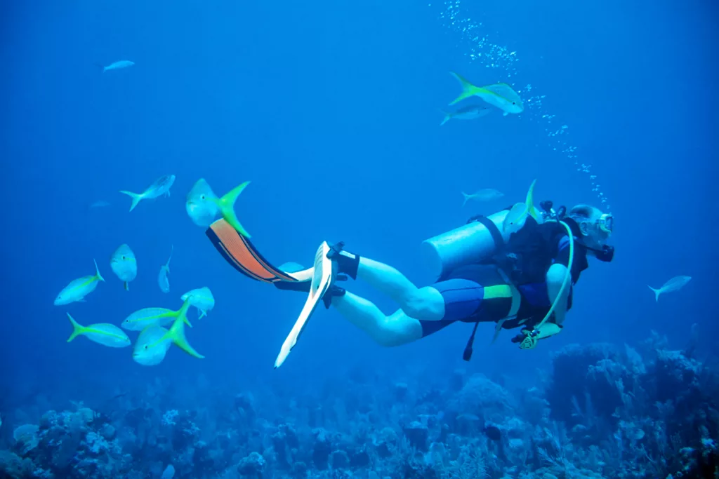 Scuba Diving, Diving, Diving in Bali, Marine Life, Dives