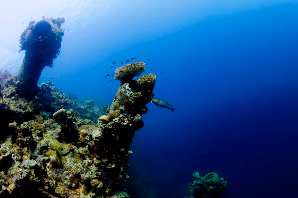 Underwater, Scuba Diving, Diving, Diving in Bali, Bali Diving