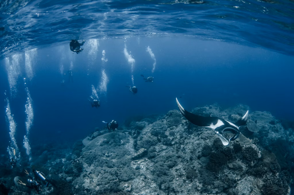 Underwater, Scuba Diving, Diving, Diving in Bali, Bali Diving