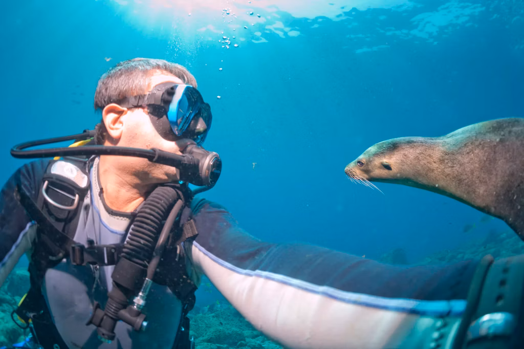 Scuba Diving, Diving, Diving in Bali, Marine Life, Dives