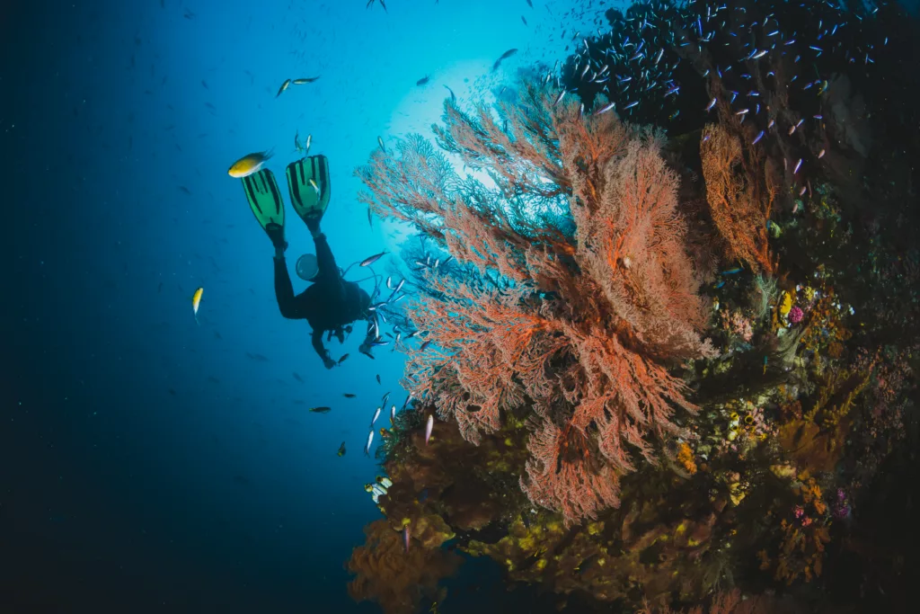 Diving, Diving in Bali, Bali Diving