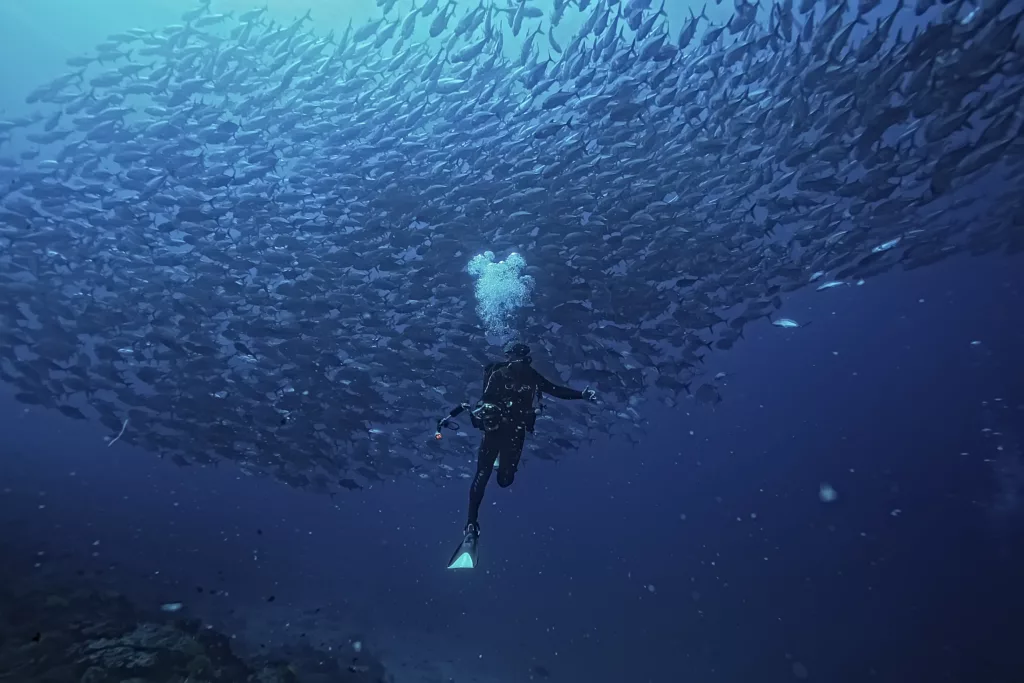 Scuba Diving, Diving, Diving in Bali, Dive Sites, Marine Life
