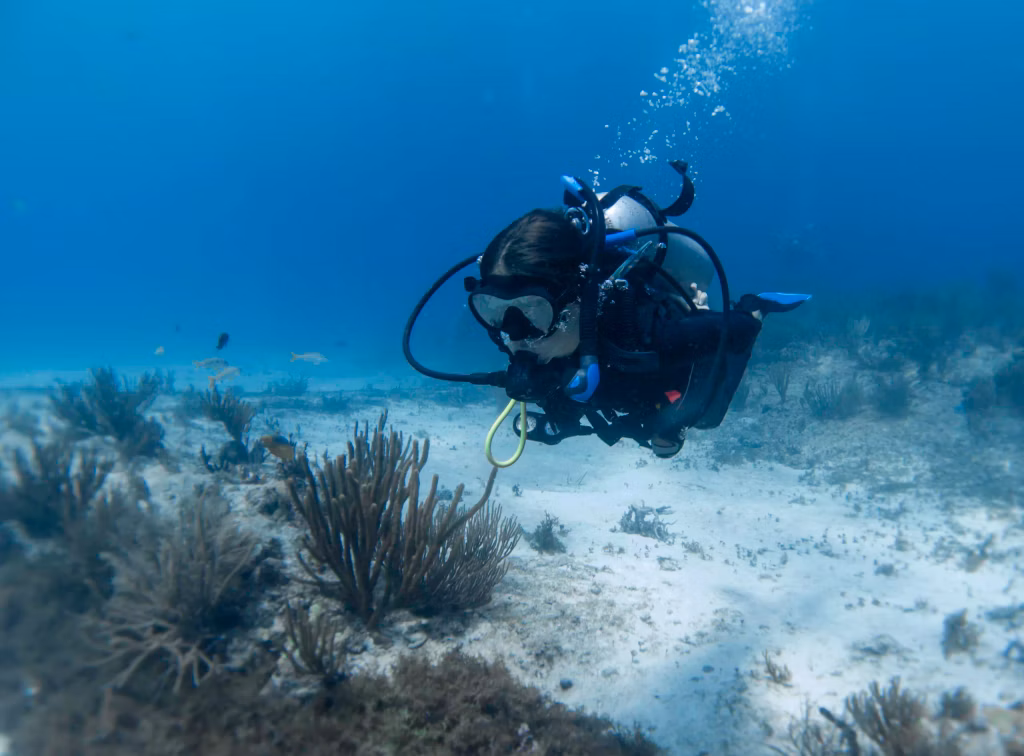 Scuba Diving, Diving, Diving in Bali, Marine Life, Dive Sites, Bali Diving